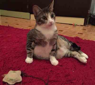 Fotografía de TITO APADRINADO