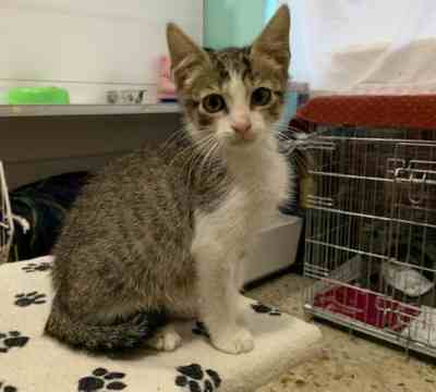 Fotografía de RAMSI ADOPTADO Y NUBE EN ADOPCIÓN