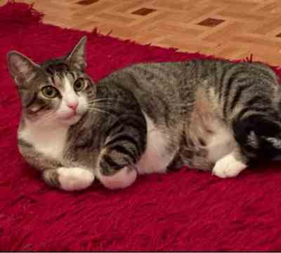 Fotografía de TITO APADRINADO