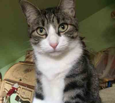 Fotografía de LALI ADOPTADA