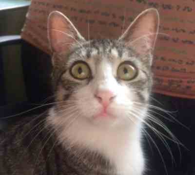 Fotografía de LALI ADOPTADA