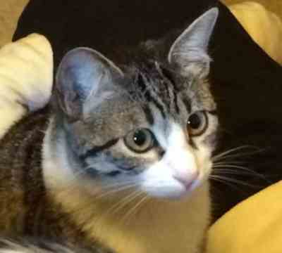 Fotografía de LALI ADOPTADA