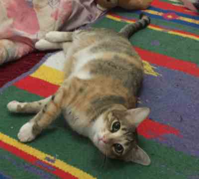 Fotografía de VILMA APADRINADA