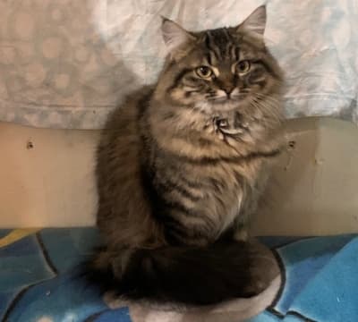 Fotografía de ZOE ADOPTADA