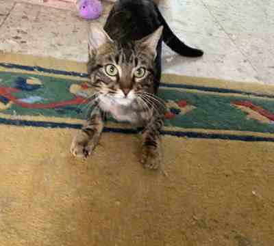 Fotografía de MARA ADOPTADA