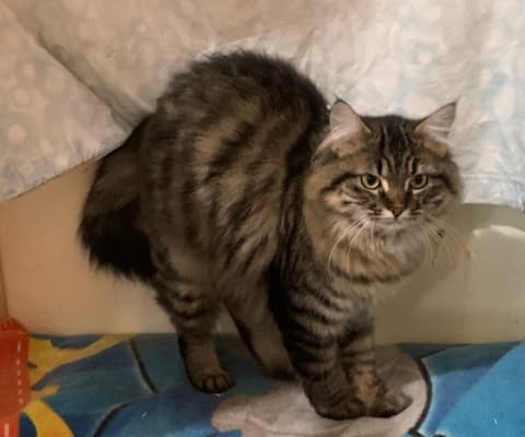 Fotografía de ZOE ADOPTADA