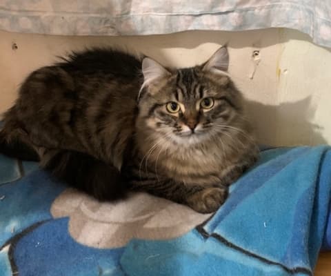 Fotografía de ZOE ADOPTADA