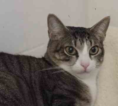 Fotografía de TITO APADRINADO