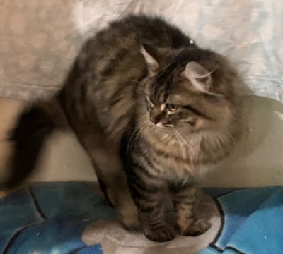 Fotografía de ZOE ADOPTADA